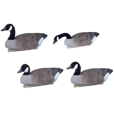 Storm Front Non-Flocked Head Canada Goose
