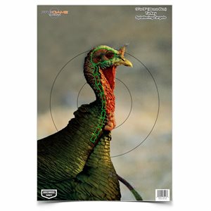 BIRCHWOOD Pregame 12 X 18 Turkey Target - 8 Targets