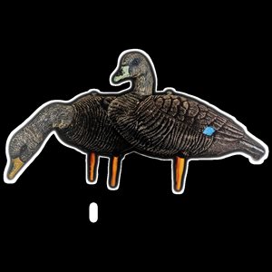 SKYFALL DECOYS Black Duck / Canard Noir