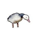 SKYFALL DECOYS Blue Goose (12)