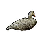 SKYFALL DECOYS Mallard Duck / Canard Malard 12x