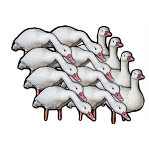 SKYFALL DECOYS Snow Goose / Oies blanche V2