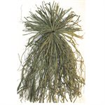 BEAVERTAIL Ghillie Grass Green (All natural raffia grass bun