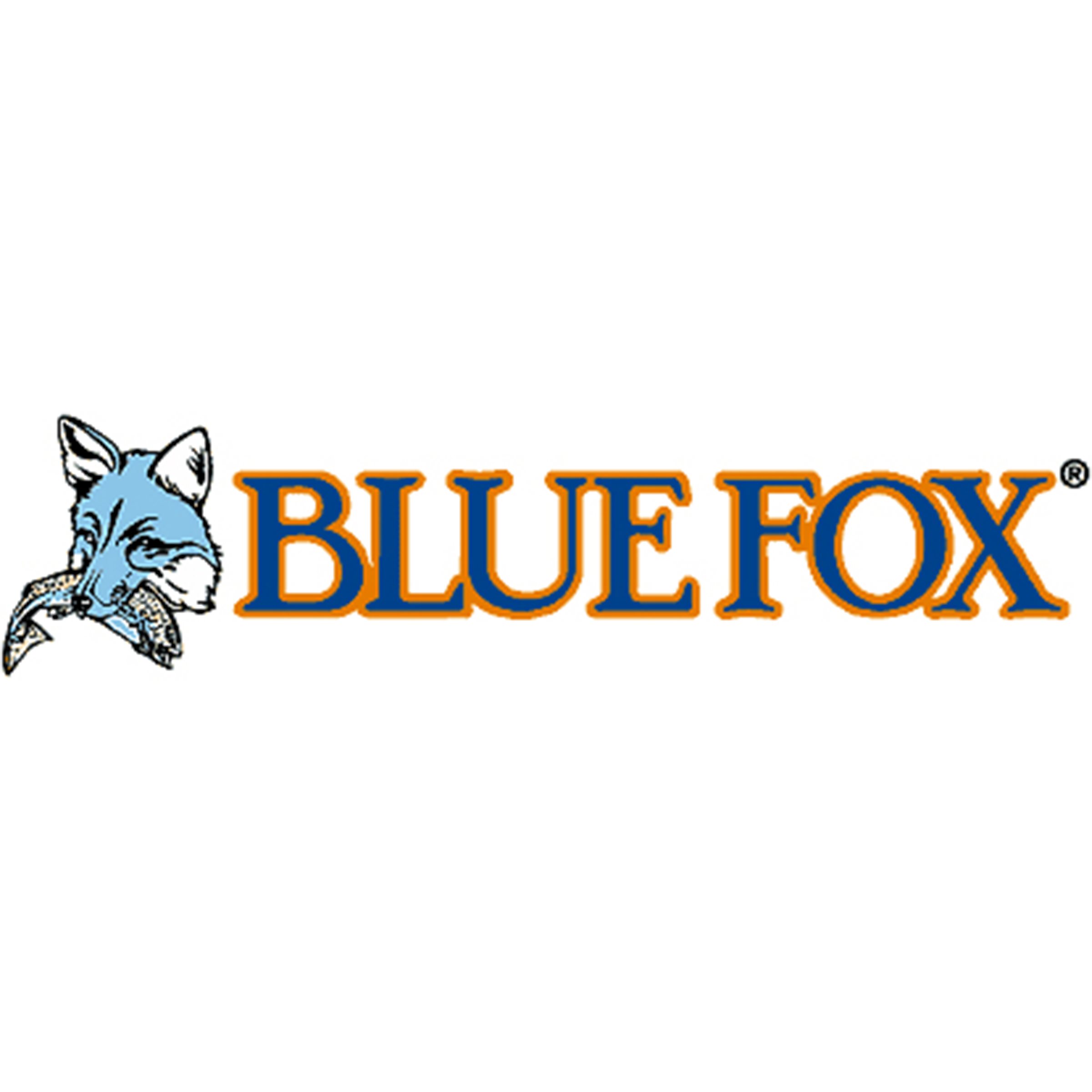 A_Blue-fox