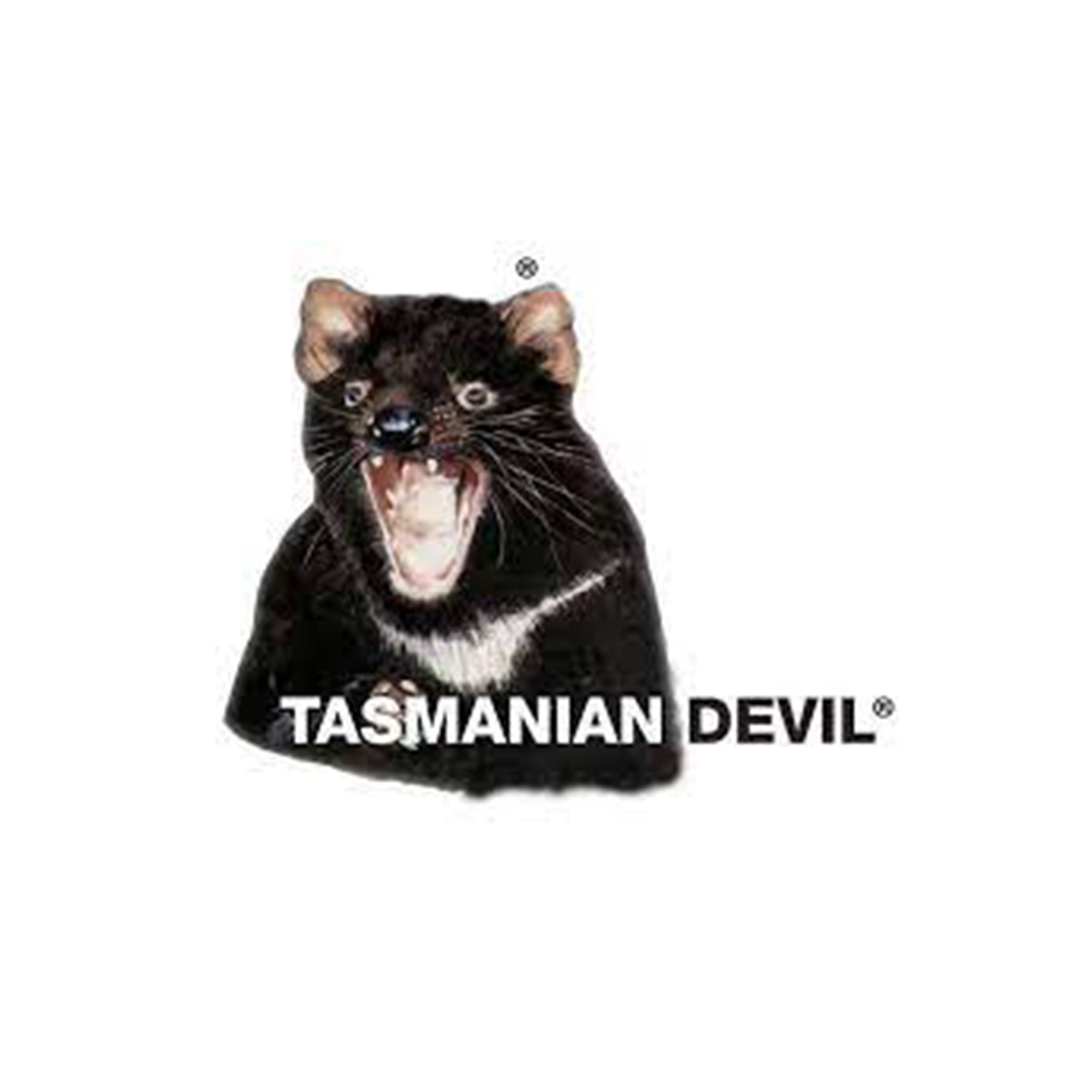 A_Tasmanian-Devil_logo